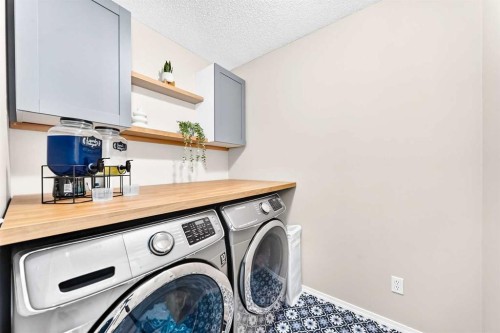 150 Springmere Drive, Chestermere, AB - Indoor Photo Showing Laundry Room