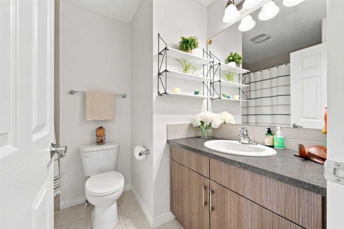 14 Windford Crescent Sw, Airdrie, AB - Indoor Photo Showing Bathroom