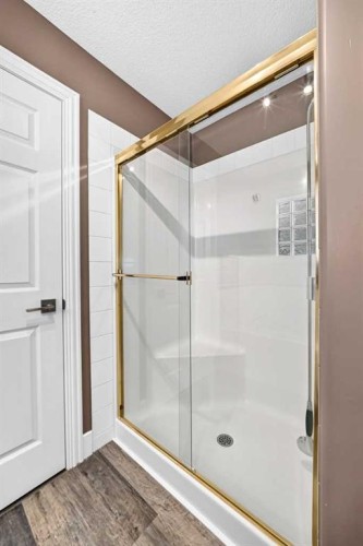 37 Chaparral Ridge Link Se, Calgary, AB - Indoor Photo Showing Bathroom