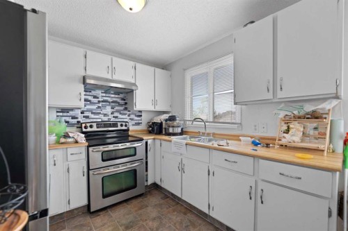 224 Faldale Close Ne, Calgary, AB - Indoor Photo Showing Kitchen With Double Sink