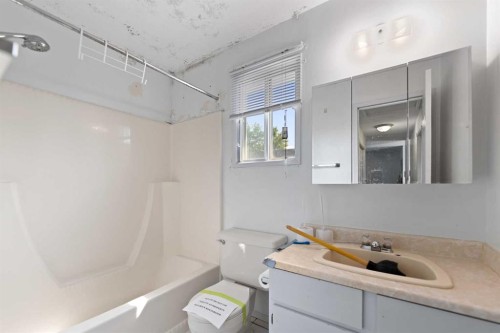 224 Faldale Close Ne, Calgary, AB - Indoor Photo Showing Bathroom