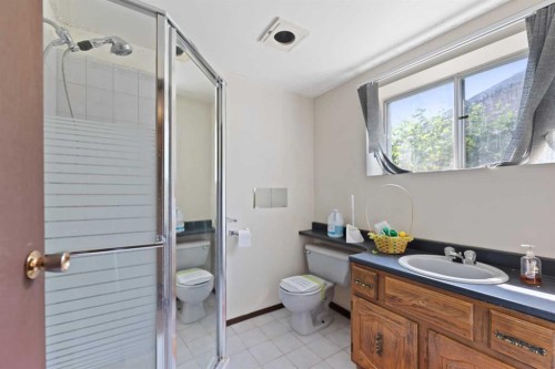 224 Faldale Close Ne, Calgary, AB - Indoor Photo Showing Bathroom