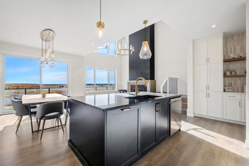 66 Savoy Landing Se, Calgary, AB - Indoor Photo Showing Kitchen With Upgraded Kitchen