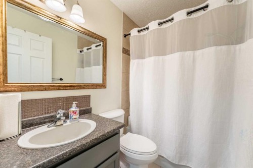 44 Templehill Drive Ne, Calgary, AB - Indoor Photo Showing Bathroom