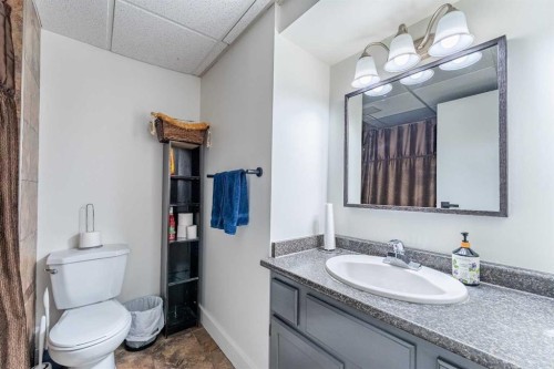 44 Templehill Drive Ne, Calgary, AB - Indoor Photo Showing Bathroom