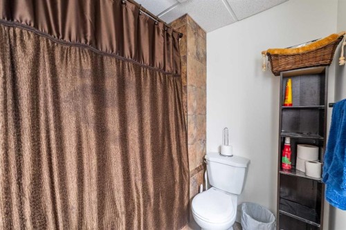 44 Templehill Drive Ne, Calgary, AB - Indoor Photo Showing Bathroom