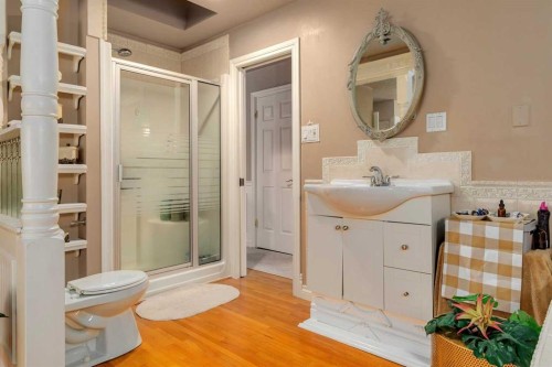 783 Lake Twintree Crescent Se, Calgary, AB - Indoor Photo Showing Bathroom