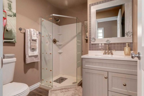 783 Lake Twintree Crescent Se, Calgary, AB - Indoor Photo Showing Bathroom