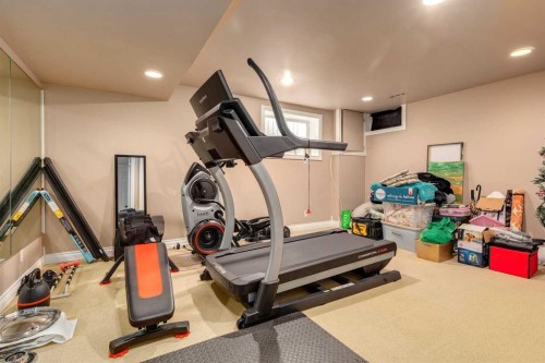 783 Lake Twintree Crescent Se, Calgary, AB - Indoor Photo Showing Gym Room
