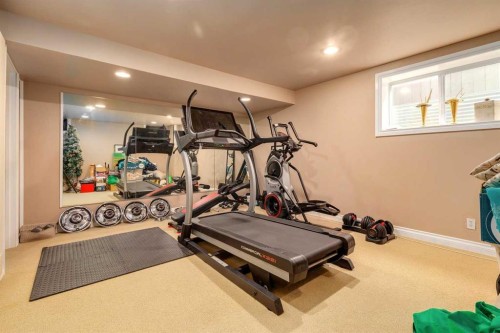 783 Lake Twintree Crescent Se, Calgary, AB - Indoor Photo Showing Gym Room