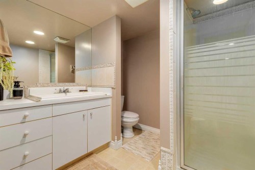 783 Lake Twintree Crescent Se, Calgary, AB - Indoor Photo Showing Bathroom