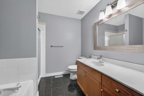 145 Lakeview Shores, Chestermere, AB - Indoor Photo Showing Bathroom