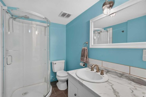 145 Lakeview Shores, Chestermere, AB - Indoor Photo Showing Bathroom