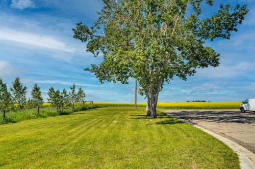 437 Mckinnon Drive, Carseland, AB - Outdoor With View