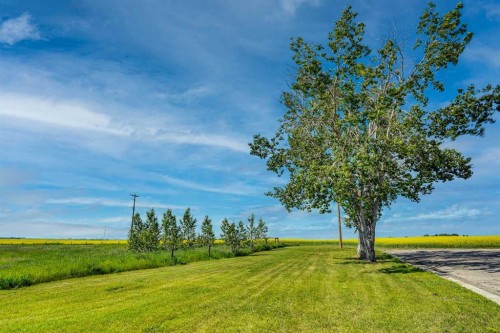 437 Mckinnon Drive, Carseland, AB - Outdoor With View