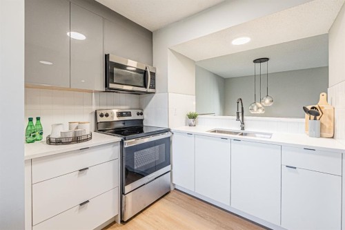 602-919 38 Street Ne, Calgary, AB - Indoor Photo Showing Kitchen With Double Sink