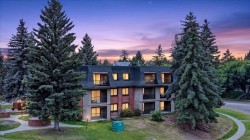 3106-4001C 49 Street NW Calgary, AB T3A 2C9