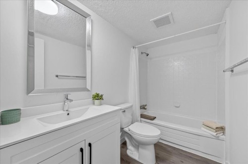 3106-4001C 49 Street Nw, Calgary, AB - Indoor Photo Showing Bathroom