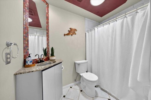 176 Sandpiper Circle Nw, Calgary, AB - Indoor Photo Showing Bathroom