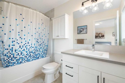 49 River Heights Drive, Cochrane, AB - Indoor Photo Showing Bathroom