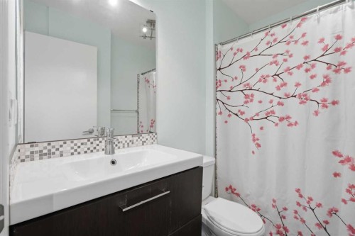 12 Chaparral Ridge Park Se, Calgary, AB - Indoor Photo Showing Bathroom