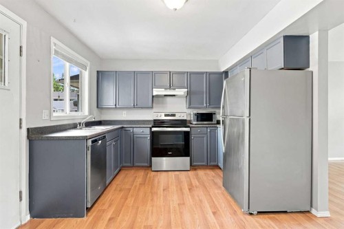 542 Regal Park Ne, Calgary, AB - Indoor Photo Showing Kitchen With Double Sink
