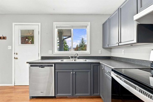 542 Regal Park Ne, Calgary, AB - Indoor Photo Showing Kitchen With Double Sink
