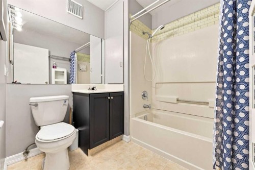 542 Regal Park Ne, Calgary, AB - Indoor Photo Showing Bathroom