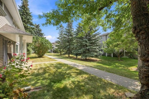 542 Regal Park Ne, Calgary, AB - Outdoor