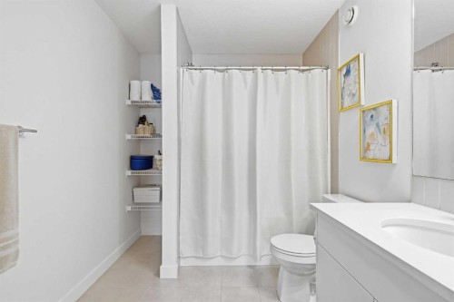 31 Seton Row Se, Calgary, AB - Indoor Photo Showing Bathroom