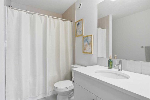 31 Seton Row Se, Calgary, AB - Indoor Photo Showing Bathroom