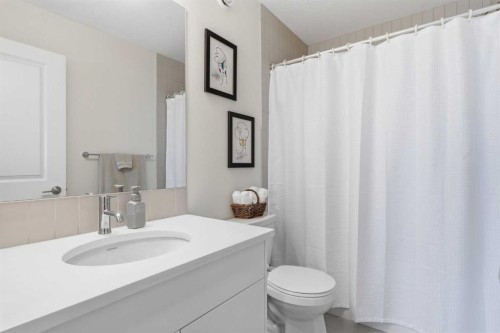 31 Seton Row Se, Calgary, AB - Indoor Photo Showing Bathroom