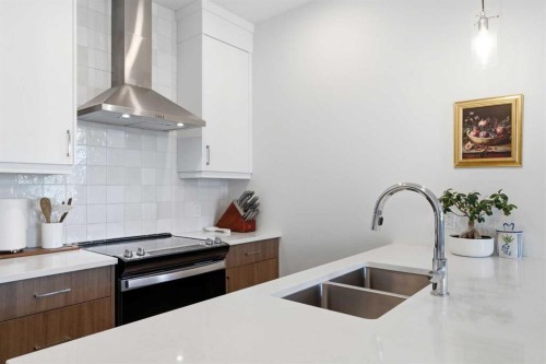 31 Seton Row Se, Calgary, AB - Indoor Photo Showing Kitchen With Double Sink With Upgraded Kitchen