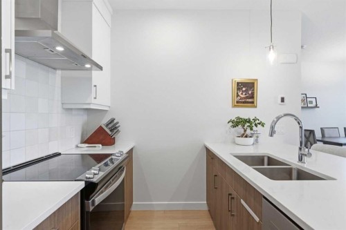 31 Seton Row Se, Calgary, AB - Indoor Photo Showing Kitchen With Double Sink With Upgraded Kitchen