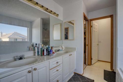 28 Coral Springs Close Ne, Calgary, AB - Indoor Photo Showing Bathroom