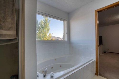 28 Coral Springs Close Ne, Calgary, AB - Indoor Photo Showing Bathroom