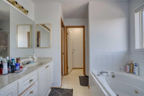 28 Coral Springs Close Ne, Calgary, AB - Indoor Photo Showing Bathroom
