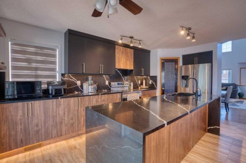 28 Coral Springs Close Ne, Calgary, AB - Indoor Photo Showing Kitchen With Double Sink