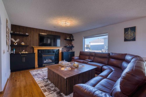 28 Coral Springs Close Ne, Calgary, AB - Indoor Photo Showing Living Room With Fireplace
