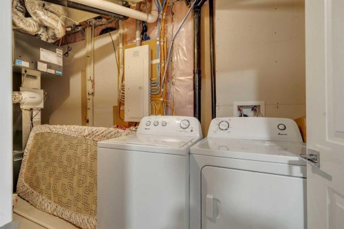 143 Dawson Harbour Hill, Chestermere, AB - Indoor Photo Showing Laundry Room