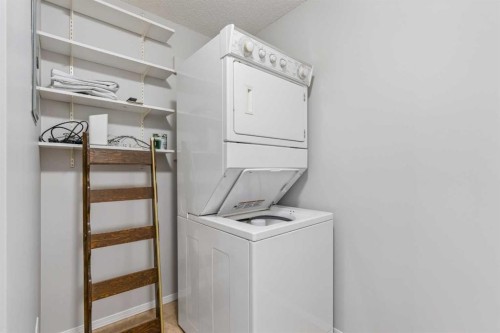 7207-304 Mackenzie Way Sw, Airdrie, AB - Indoor Photo Showing Laundry Room