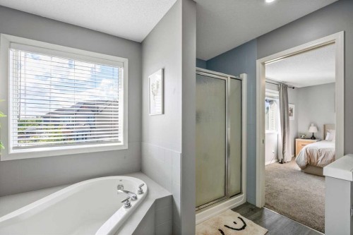 5 Copperpond Link Se, Calgary, AB - Indoor Photo Showing Bathroom