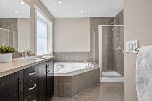 4728 Elgin Avenue Se, Calgary, AB - Indoor Photo Showing Bathroom