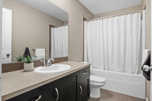 4728 Elgin Avenue Se, Calgary, AB - Indoor Photo Showing Bathroom