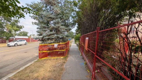 2916 17 Street Se, Calgary, AB 