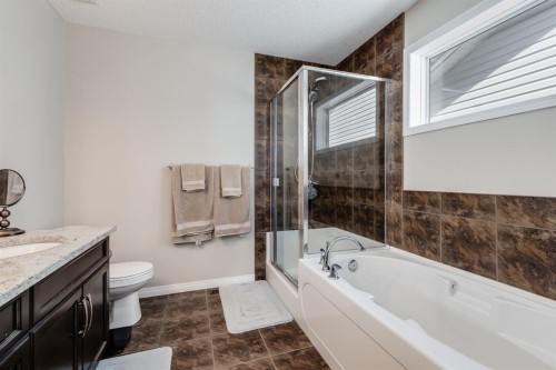 54 Autumn View Se, Calgary, AB - Indoor Photo Showing Bathroom
