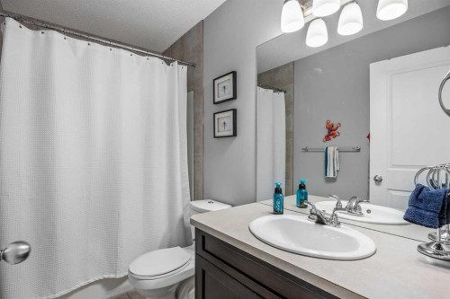 58 Copperstone Close Se, Calgary, AB - Indoor Photo Showing Bathroom