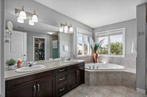 58 Copperstone Close Se, Calgary, AB - Indoor Photo Showing Bathroom