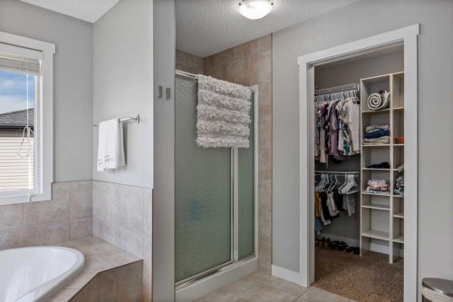 58 Copperstone Close Se, Calgary, AB - Indoor Photo Showing Bathroom