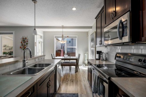 58 Copperstone Close Se, Calgary, AB - Indoor Photo Showing Kitchen With Double Sink